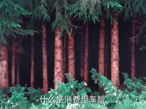 什么是消費(fèi)型車險(xiǎn)
