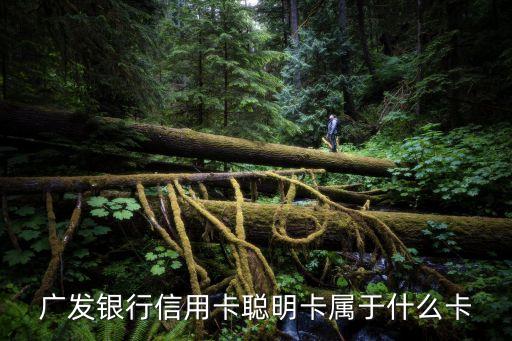 廣發(fā)銀行信用卡聰明卡屬于什么卡