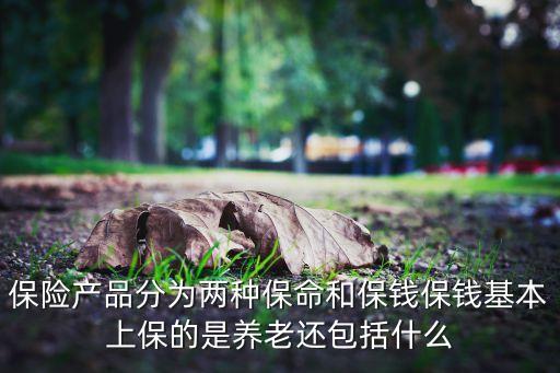 保險分保本和什么，保險都分什么