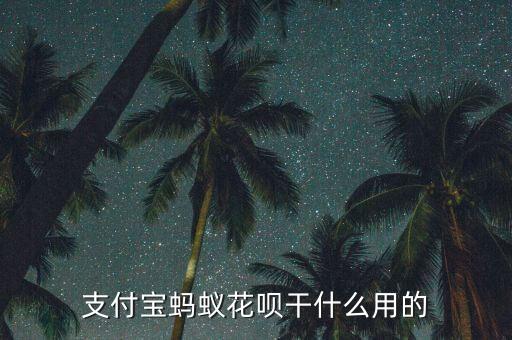 支付寶螞蟻花唄干什么用的