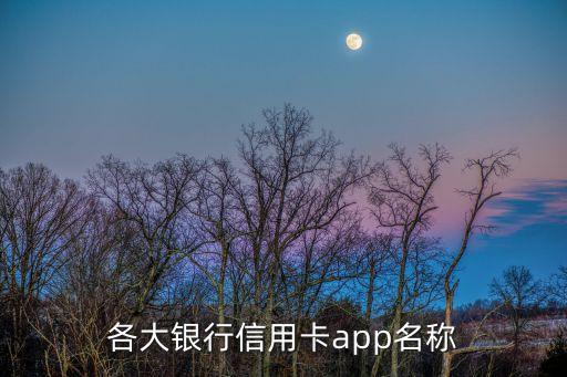 光大信用卡用什么app下載，各大銀行信用卡app名稱