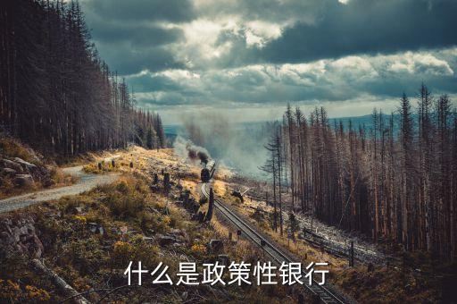 什么是政策銀行，什么是政策性銀行