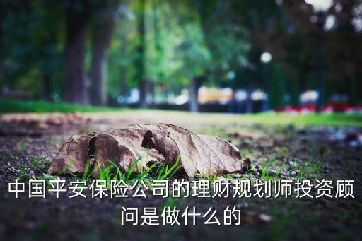 中國平安保險(xiǎn)公司的理財(cái)規(guī)劃師投資顧問是做什么的