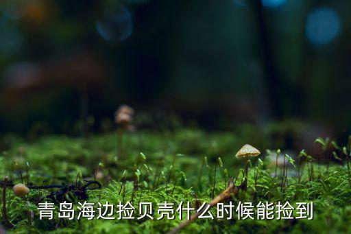 青島海邊撿貝殼什么時(shí)候能撿到