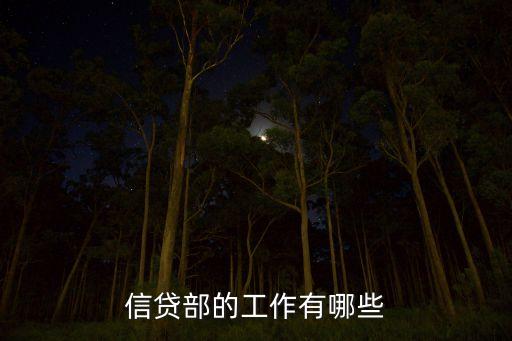 信貸部的工作有哪些