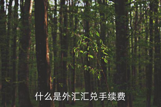 什么是外匯匯兌手續(xù)費