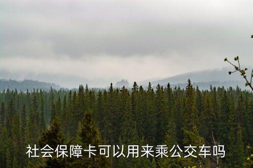 社會(huì)保障卡可以用來乘公交車嗎