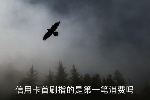 信用卡首刷指的是第一筆消費嗎