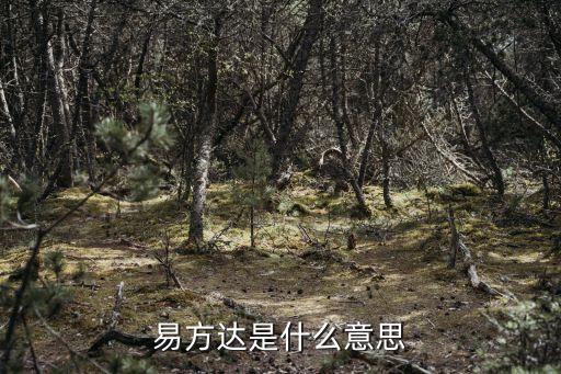 易方達(dá)是什么意思
