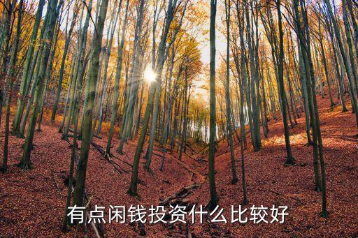 有點閑錢投資什么比較好