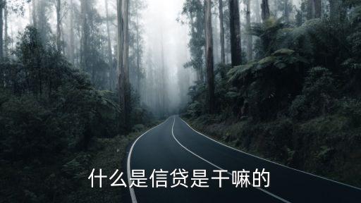 什么是信貸是干嘛的