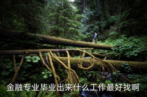 金融專業(yè)畢業(yè)出來什么工作最好找啊