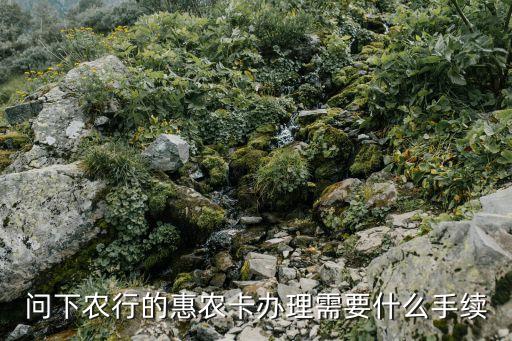 申請(qǐng)惠農(nóng)卡需要什么，云南文山辦理農(nóng)村信用社的惠農(nóng)卡需要什么條件和證件