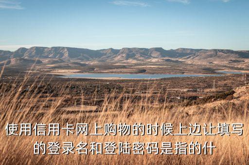 使用信用卡網(wǎng)上購(gòu)物的時(shí)候上邊讓填寫(xiě)的登錄名和登陸密碼是指的什