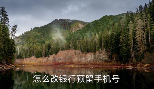 銀行卡更改預留號碼需要什么手續(xù)，怎樣能改在銀行預留的電話號碼