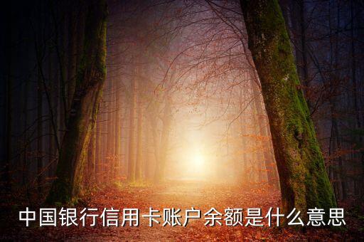 信用卡里的賬戶余額是什么意思啊，信用卡顯示余額是什么意思