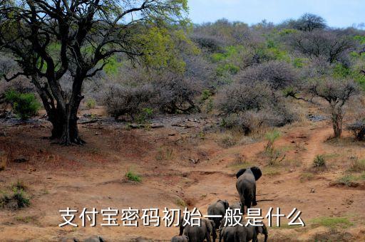 支付寶密碼初始一般是什么