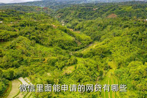 微信中有什么貸款，微信里面能申請(qǐng)的網(wǎng)貸有哪些