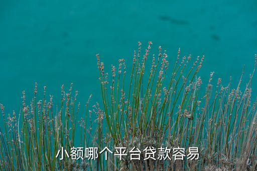 什么小額網(wǎng)貸容易下款，小額哪個平臺貸款容易