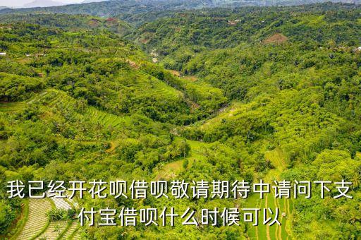 我已經(jīng)開花唄借唄敬請(qǐng)期待中請(qǐng)問(wèn)下支付寶借唄什么時(shí)候可以
