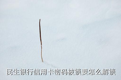民生銀行信用卡密碼被鎖要怎么解鎖