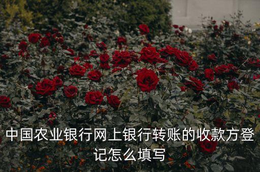 中國農(nóng)業(yè)銀行網(wǎng)上銀行轉(zhuǎn)賬的收款方登記怎么填寫