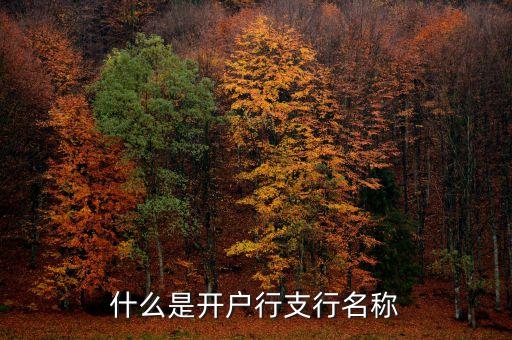 什么是開戶行支行名稱