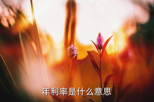 貨款年利率是什么意思，年利率是什么意思