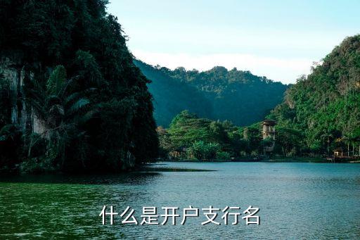 開戶支行的名稱是什么，什么是開戶支行名
