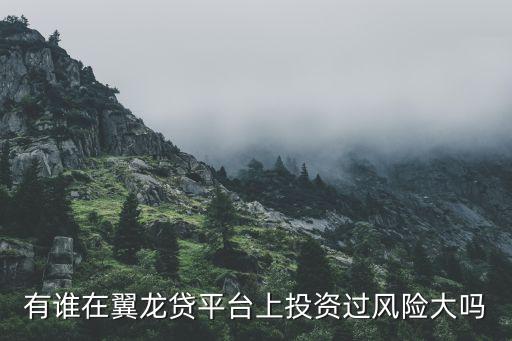 加盟翼龍貸有什么風險，我想在翼龍貸理財想知道風險性怎么樣啊誰知道告訴我一下  搜