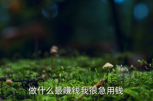 做什么最賺錢我很急用錢
