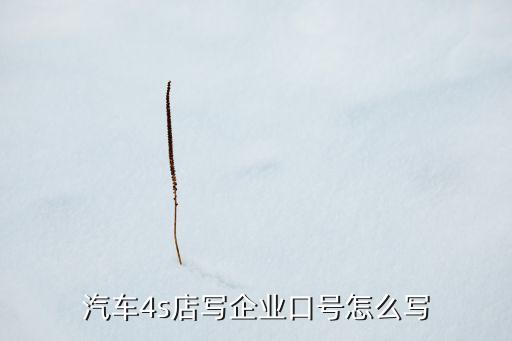 小樹時代招標是什么，我在小樹時代貸款審核通過后沒有人投標怎么辦