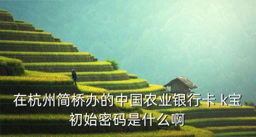 在杭州簡(jiǎn)橋辦的中國(guó)農(nóng)業(yè)銀行卡 k寶初始密碼是什么啊