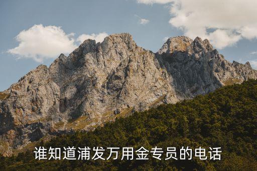 浦發(fā)萬用金打什么電話，誰有浦發(fā)銀行信用卡萬用金的推銷員電話及分機(jī)號煩請?zhí)峁┮粋€(gè)  搜