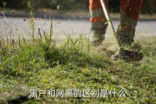 征信什么是網(wǎng)黑和黑戶，黑戶和網(wǎng)黑的區(qū)別是什么
