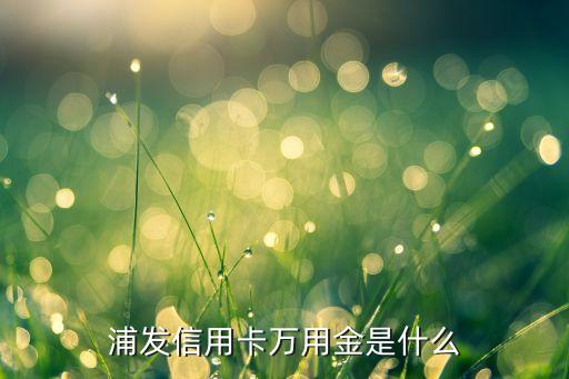 浦發(fā)信用卡萬用金是什么