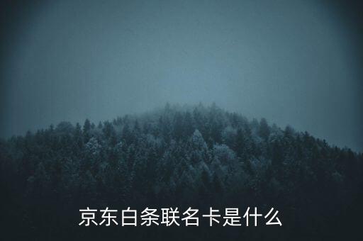 京東白條聯(lián)名卡是什么
