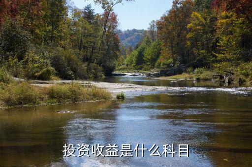 投資收益賬戶包括什么科目，投資收益的明細(xì)科目有哪些