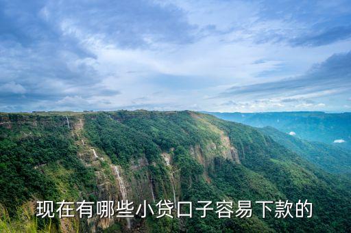 現(xiàn)在有哪些小貸口子容易下款的