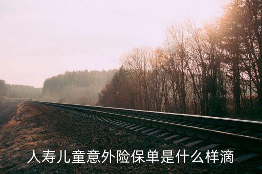 人壽兒童意外險保單是什么樣滴