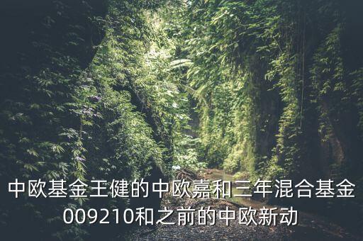 中歐基金王健的中歐嘉和三年混合基金009210和之前的中歐新動