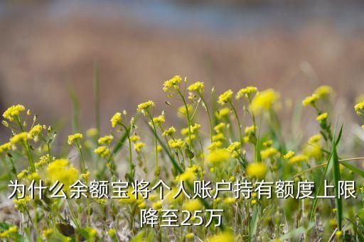 為什么余額寶將個(gè)人賬戶持有額度上限降至25萬