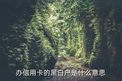 辦信用卡的黑白戶是什么意思