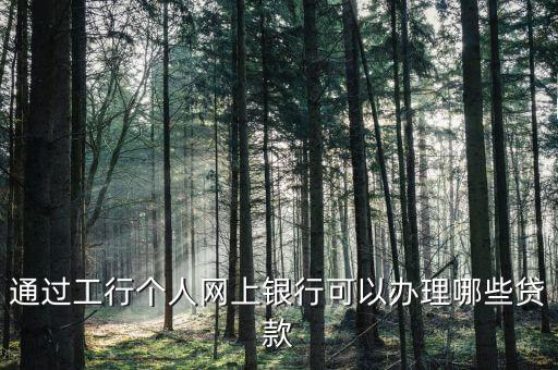通過工行個(gè)人網(wǎng)上銀行可以辦理哪些貸款