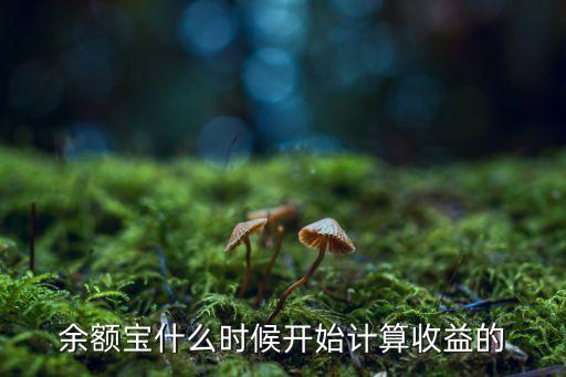 余額寶什么時(shí)候開始計(jì)算收益的