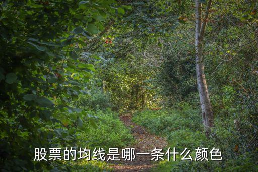股票的均線是哪一條什么顏色