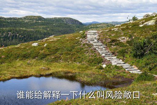 誰(shuí)能給解釋一下什么叫風(fēng)險(xiǎn)敞口