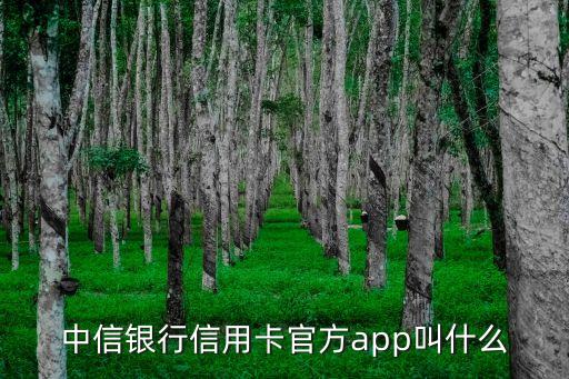 中信銀行信用卡官方app叫什么