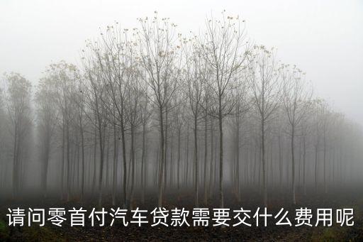 請問零首付汽車貸款需要交什么費用呢