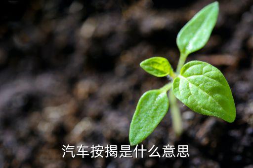 買車做按揭是什么意思，按揭車是什么意思